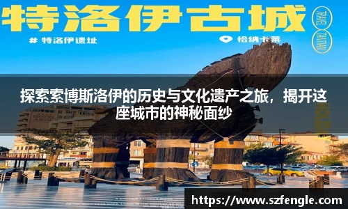 探索索博斯洛伊的历史与文化遗产之旅，揭开这座城市的神秘面纱